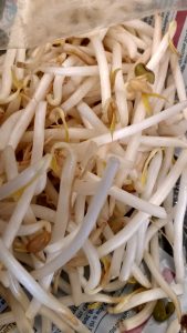 Bean Sprouts Raw